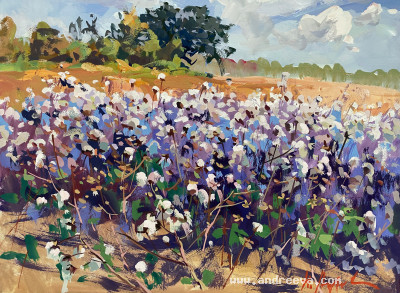Cotton Field